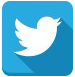 social-icon-twitter